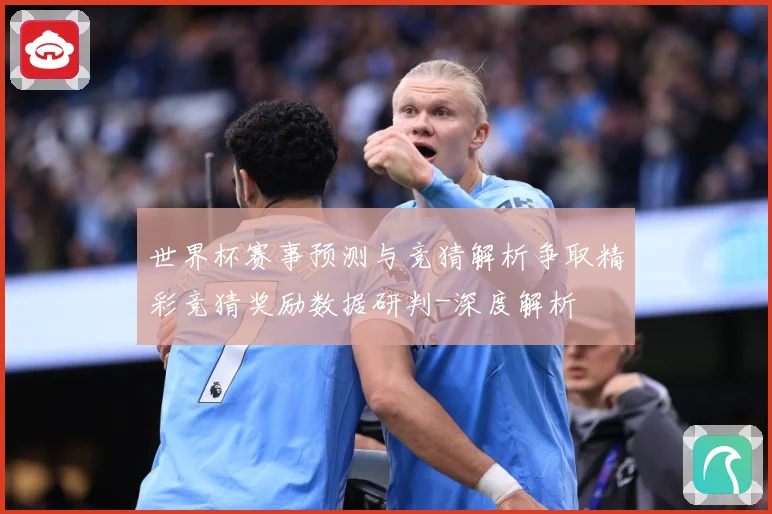 世界杯赛事预测与竞猜解析争取精彩竞猜奖励数据研判-深度解析
