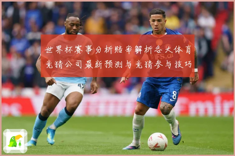 世界杯赛事分析赔率解析各大体育竞猜公司最新预测与竞猜参与技巧数据研判-深度解析