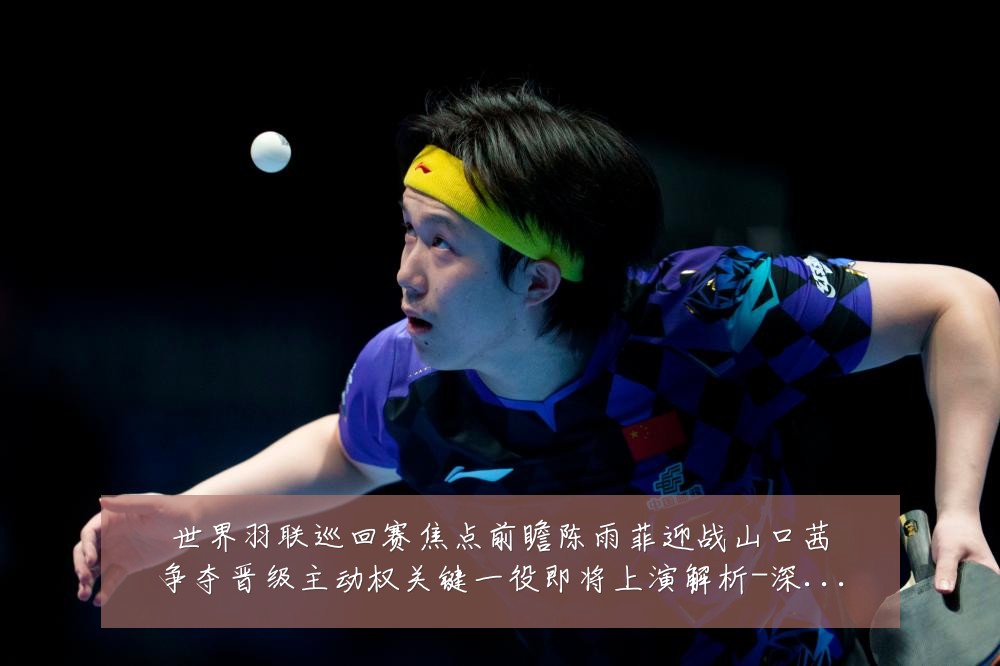 世界羽联巡回赛焦点前瞻陈雨菲迎战山口茜争夺晋级主动权关键一役即将上演解析-深度解析